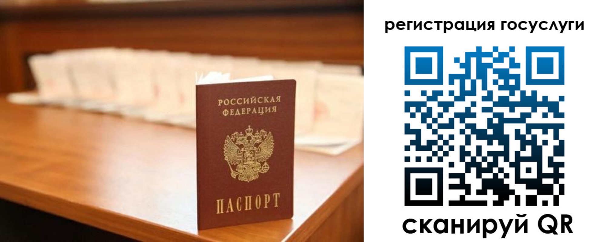 прописка в квартире в Ногинске