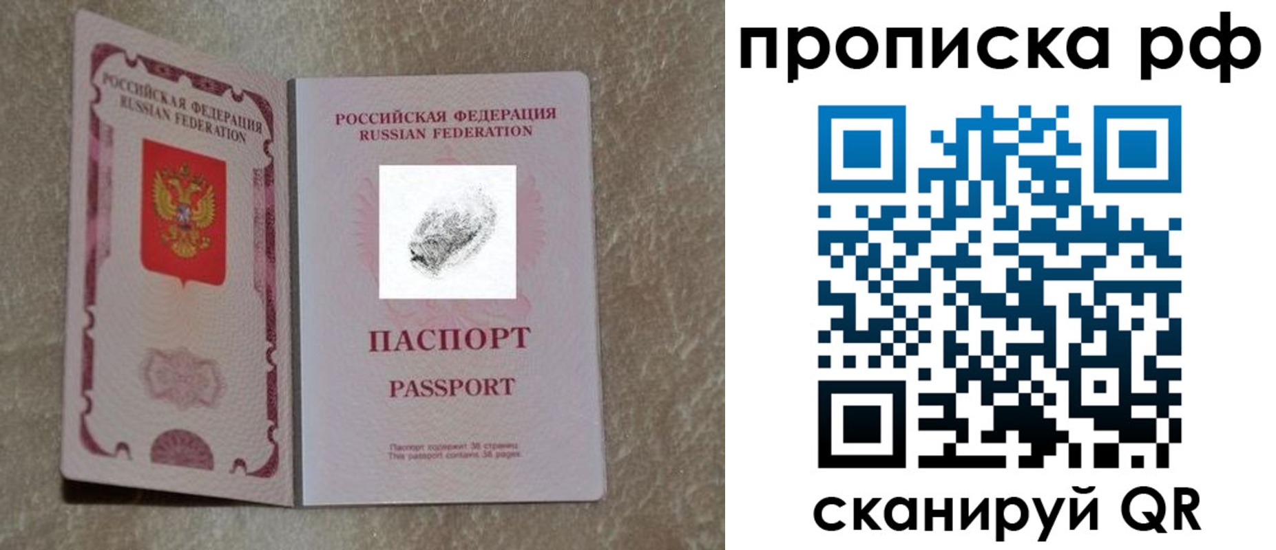 прописка поиск в Ногинске